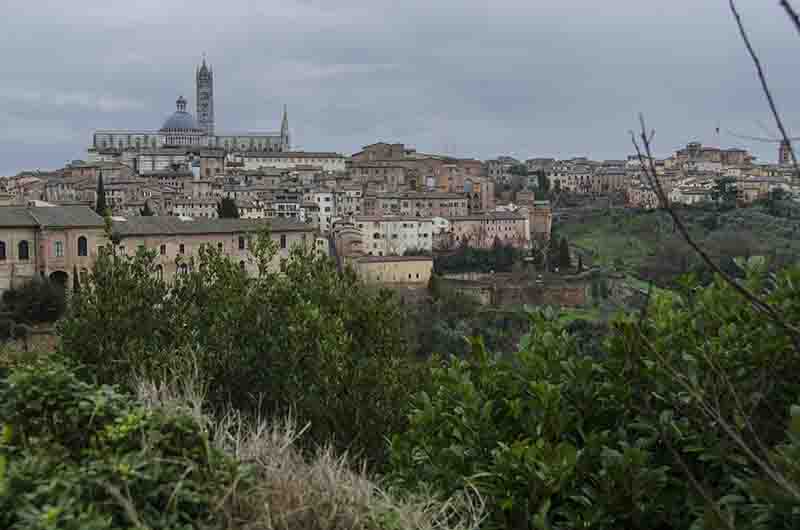 01 - Italia - Siena - panoramica